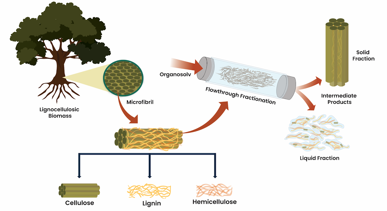 Biomass valorization research figure, April 2026
